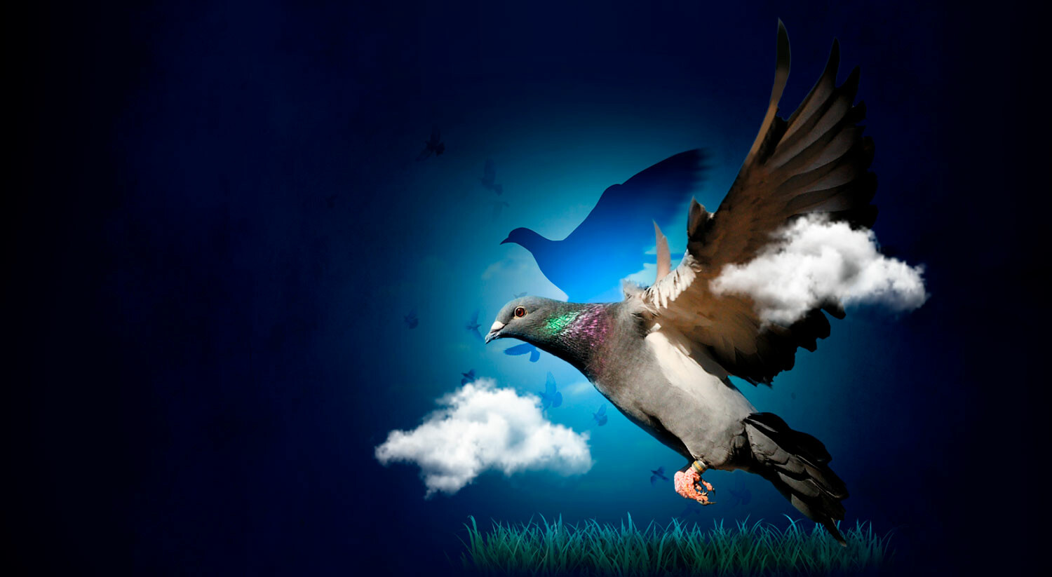 PR_Banner_homepage_2 copia.jpg