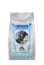 LINFABASE.png